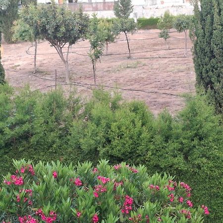 Sunset Green 03 بافوس المظهر الخارجي الصورة