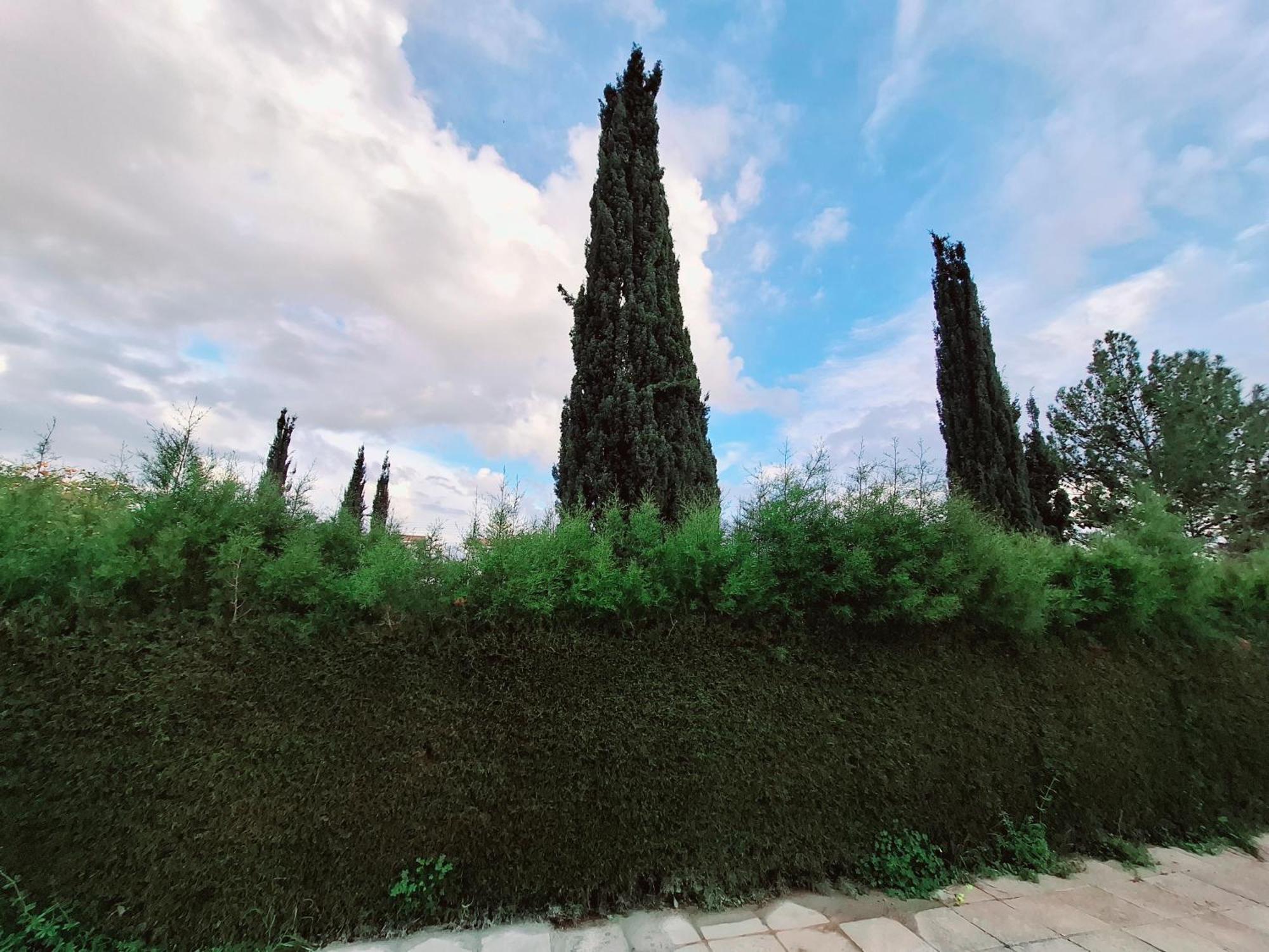Sunset Green 03 بافوس المظهر الخارجي الصورة